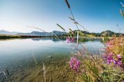 Sommerurlaub in Wagrain-Kleinarl Sommerurlaub in Wagrain-Kleinarl