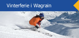 Banner Vinterferie
